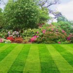 Beautiful, green lawn and garden