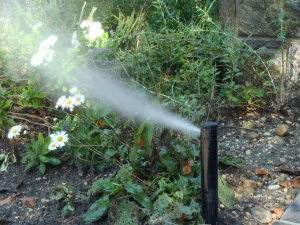 Sprinkler spraying on home garden